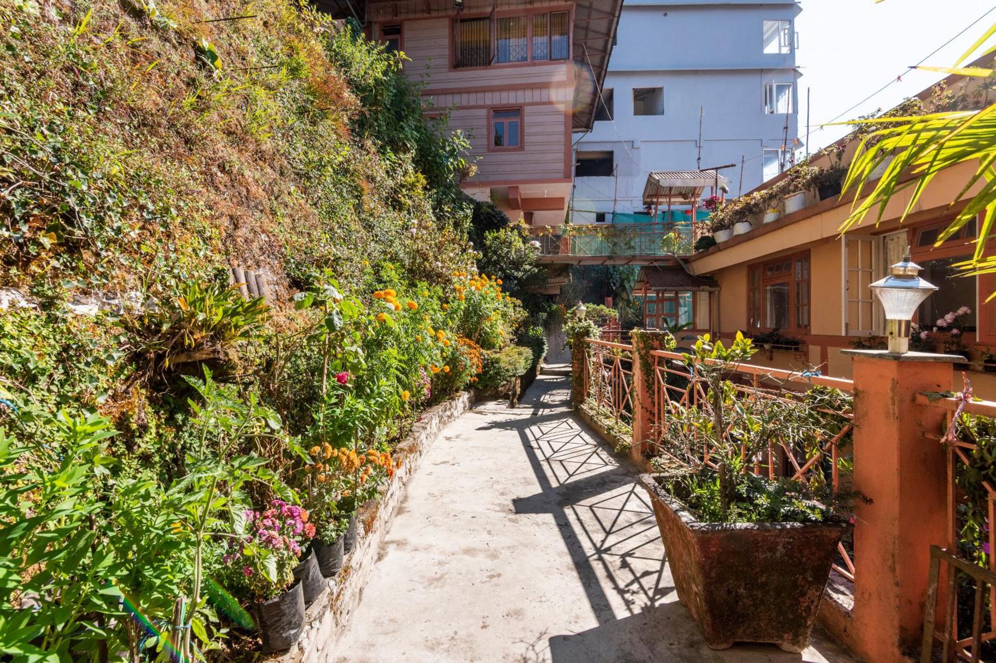Little Singamari Home Stay Дарджилинг Екстериор снимка