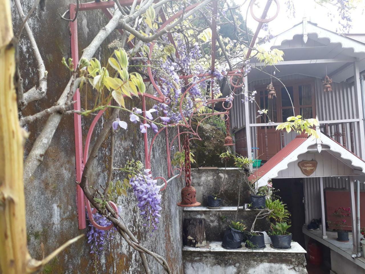 Little Singamari Home Stay Дарджилинг Екстериор снимка