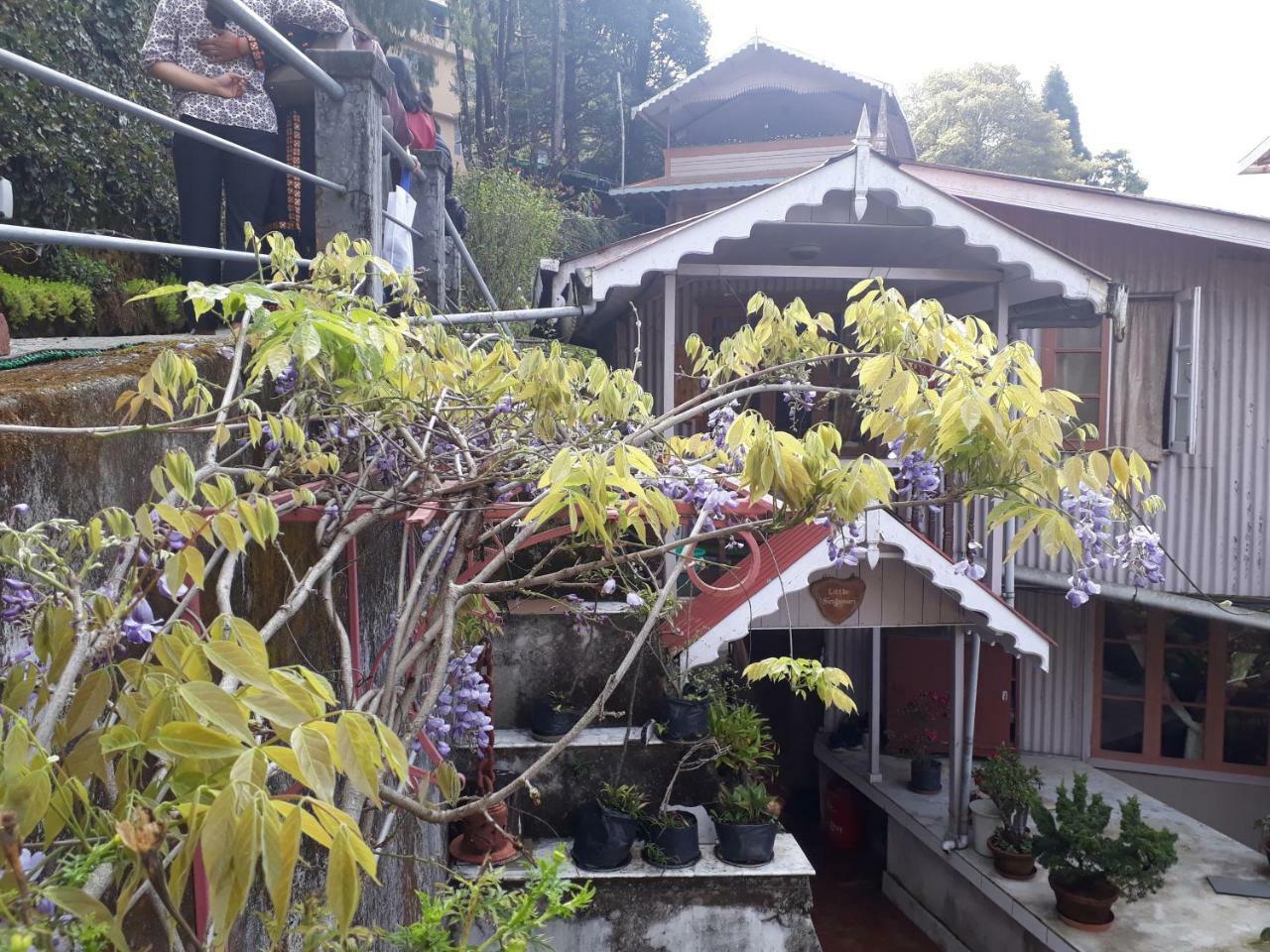 Little Singamari Home Stay Дарджилинг Екстериор снимка